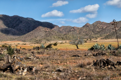 Andalusien 2019