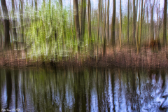 1_-ICM-Stadtwald-IMG_3722