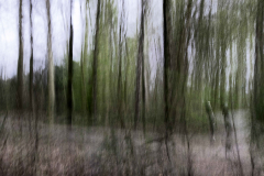 IMG_0262-Bearbeitet
