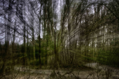 IMG_0266_HDR