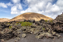 Lanzarote