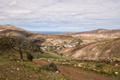 Lanzarote