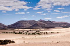 Lanzarote