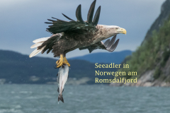 Norwegen