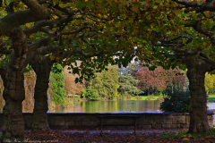 Wasserblick-Schoenwasser-IMG_8974-Kopie