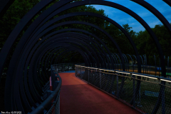 Bridge-IMG_7321-Kopie