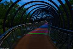 Bridge-IMG_7322-Kopie